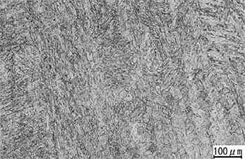 Photo 1: Microstructure of final pass deposited metal (PWHT: 779°C × 8.0 hour)
