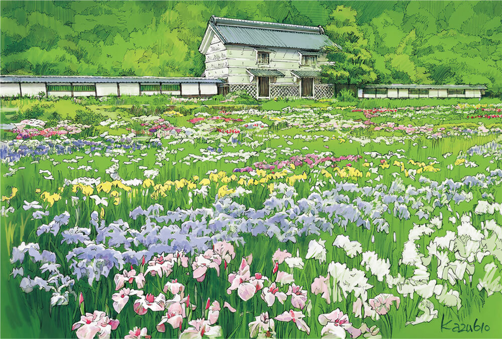 Kakegawa City, Shizuoka Prefecture Many varieties of iris bloom at the Kamo-no-sho, a villa that once belonged to an Edo Period village headman.