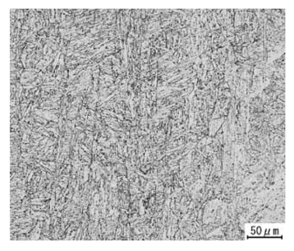 Figura 3: Microestructura de CM-95B91