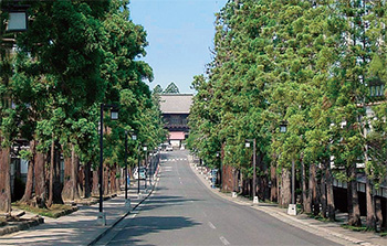 El zenringai “Bosque Zen”, que alberga 33 templos, incluyendo los 3 templos de Chosho-ji al fondo 