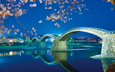 Iluminación del puente Kintai-kyo y los cerezos en la orilla del río