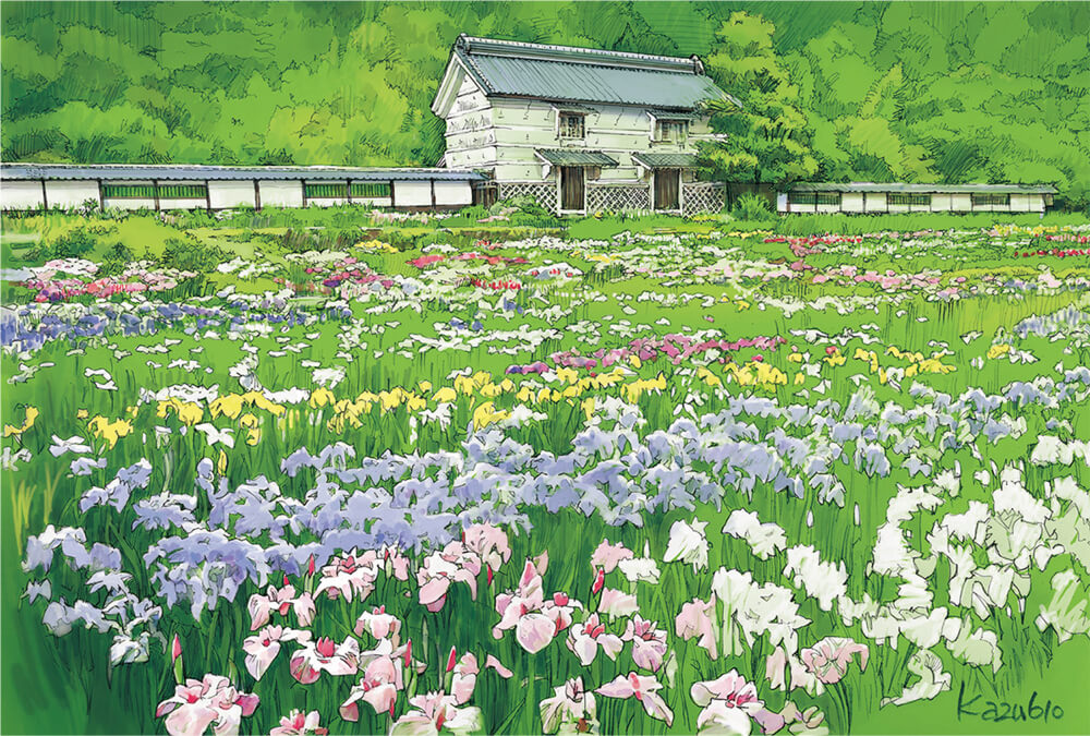 Ciudad de Kakegawa, Prefectura de Shizuoka Muchas variedades de iris florecen en Kamo-no-sho, la villa que alguna perteneció, en un periodo, al jefe de la villa.