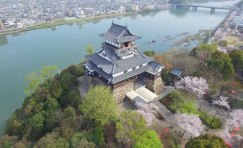 Castillo Inuyama-Inuyama