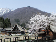 Suganuma Village