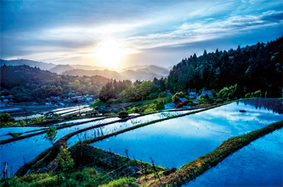 Terraced rice fields in Nagatani