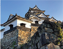 a torre do castelo e a torre de ligação tsuke-yagura (patrimônios nacionais)